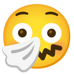 Flushed face and Sneezing face