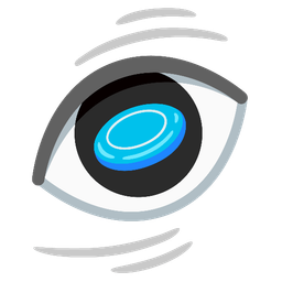 flying disc and eye