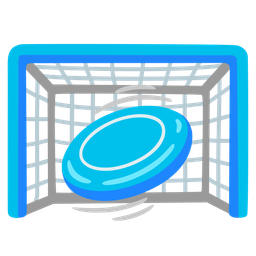 flying disc and goal net