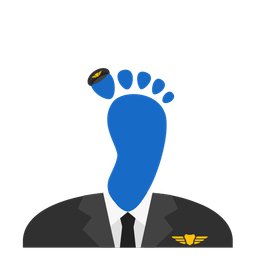 footprints and airplane