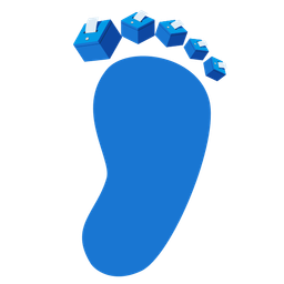 Footprints and Ballot box with ballot