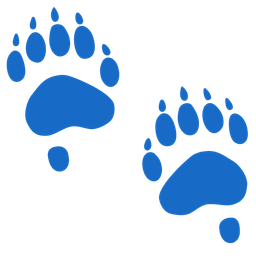 Footprints and Bear