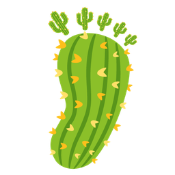 Footprints and Cactus