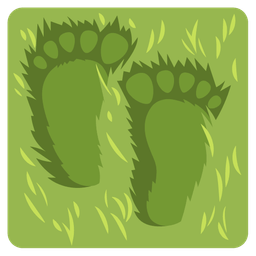 footprints and camping