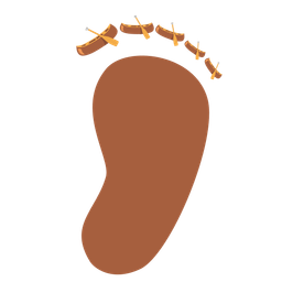 Footprints and Canoe