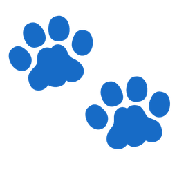 Footprints and Cat face