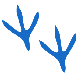 footprints and chicken