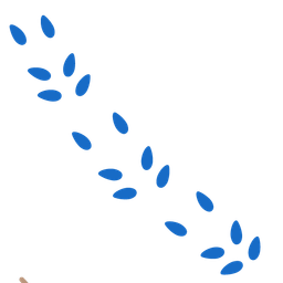 footprints and cricket