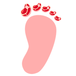 Footprints and Cut of meat