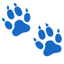 Footprints and Dog face