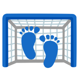 Footprints and Goal net