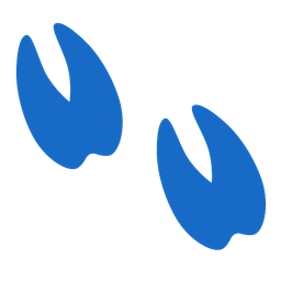 Footprints and Llama