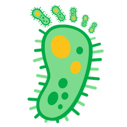 Footprints and Microbe