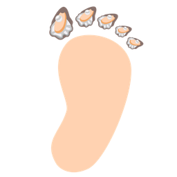 footprints and oyster