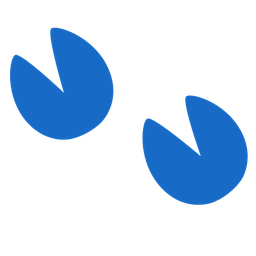 Footprints and Pig face