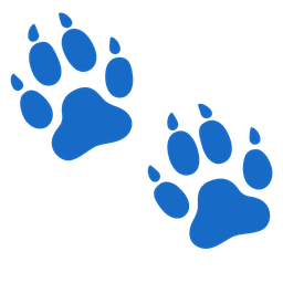 footprints and poodle