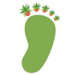 Footprints and Potted plant