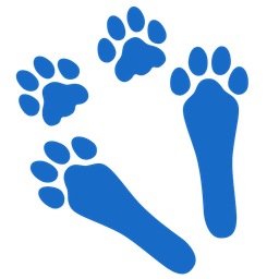 Footprints and Rabbit face