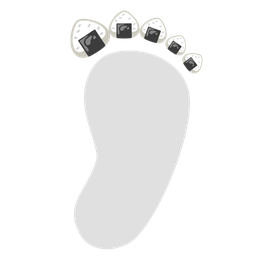footprints and rice ball