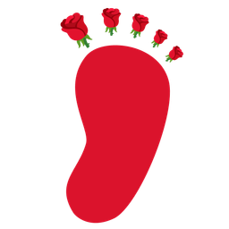 Footprints and Rose