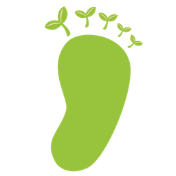 Footprints and Seedling
