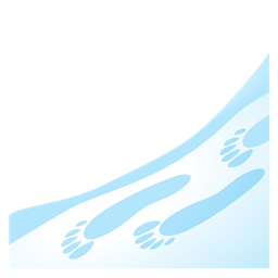 Footprints and Skis