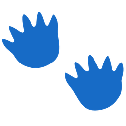 Footprints and Turtle