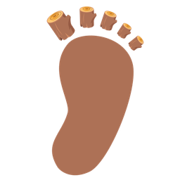 footprints and wood