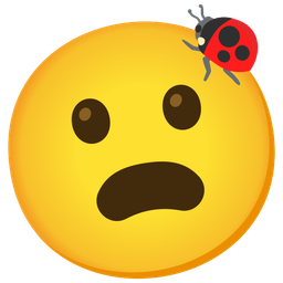 Frowning face with open mouth and Lady beetle