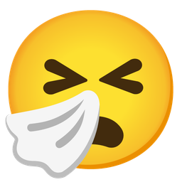 Frowning face with open mouth and Sneezing face