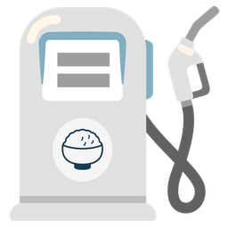 fuel pump and cooked rice