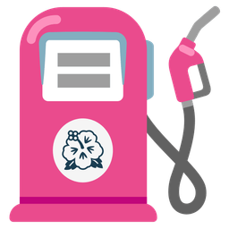 fuel pump and hibiscus