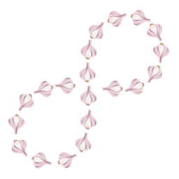 garlic and infinity