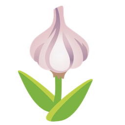 garlic and tulip