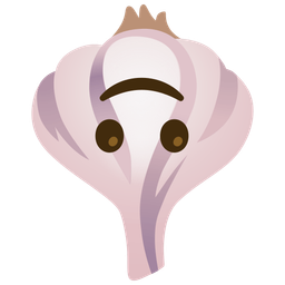 Garlic and Upside-down face