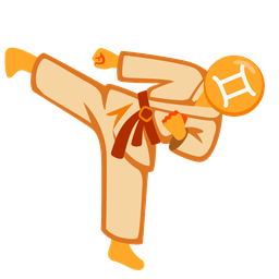 Gemini and martial arts uniform