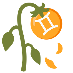 Gemini and wilted flower