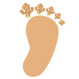 ginger root and footprints