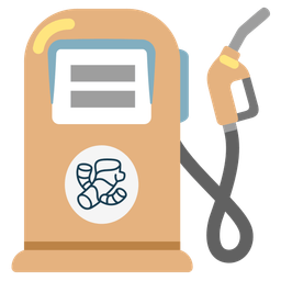 ginger root and fuel pump