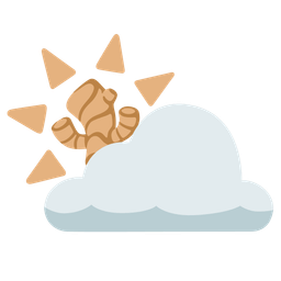 ginger root and sun behind cloud