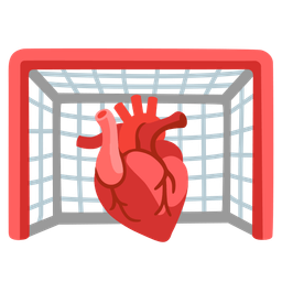 goal net and anatomical heart