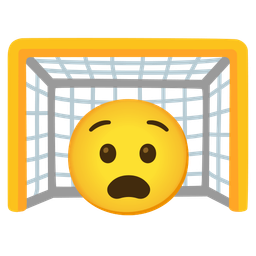 goal net and anguished face