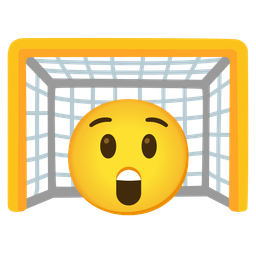 goal net and astonished face