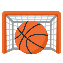 goal net and basketball