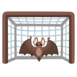 goal net and bat