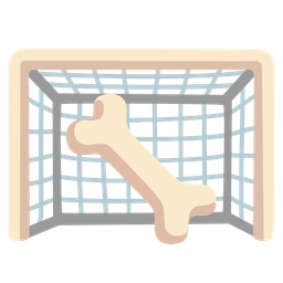 goal net and bone