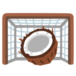 goal net and coconut