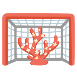 goal net and coral