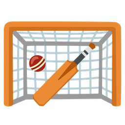 goal net and cricket game