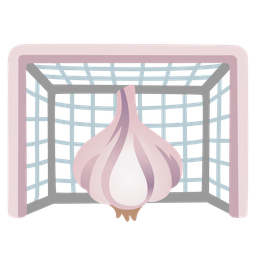 goal net and garlic